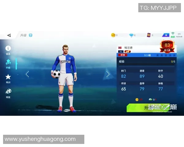 绿茵赛场逐梦之路动画足球巨星成长传奇